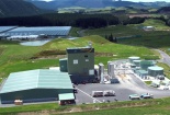 Vinamilk tăng tiền đầu tư vào xuất sữa tươi tại New Zealand